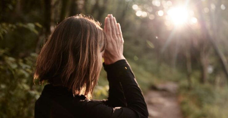 Forest Bathing & Nature Therapy Walking Tour - Experience Highlights