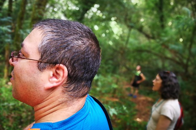 Forest Baths - Shinrin Yoku Therapeutic, in Celtic Sacred Forests - Benefits of Forest Baths
