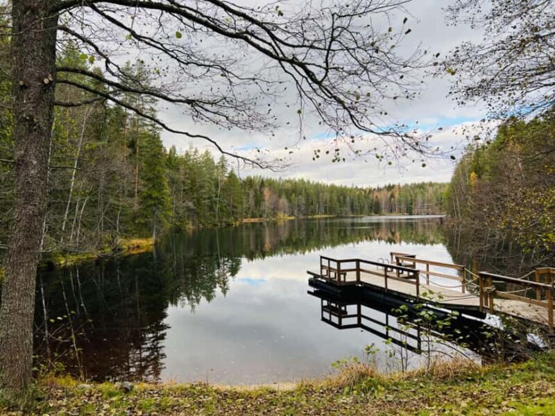 Forest, Castle & Fiskars Village Day Trip from Helsinki - Hands-On Arts & Crafts Workshops