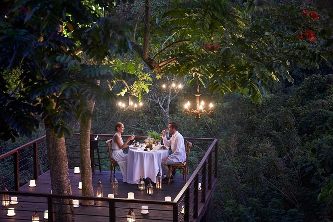 Forest Dining at Tree Deck Overlooking Lush Valley of Ubud - Inclusions and Offerings