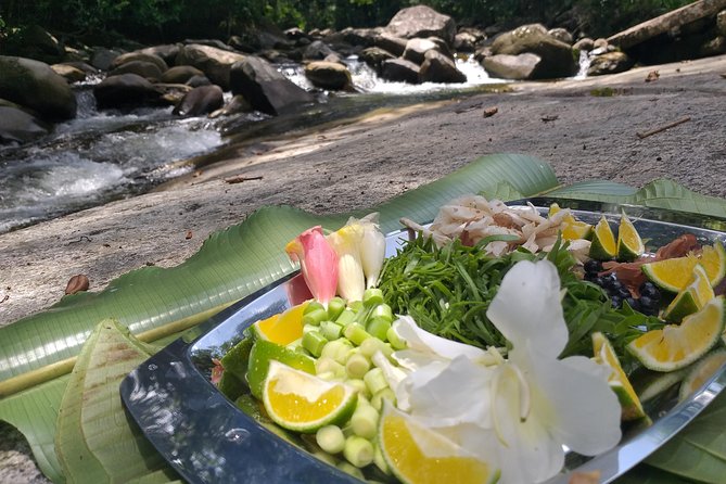 Forest Forager - Wild Food Walk - Traveler Engagement