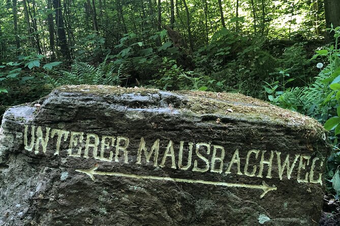 Forest Hike in Heidelberg - Guided Hike Details