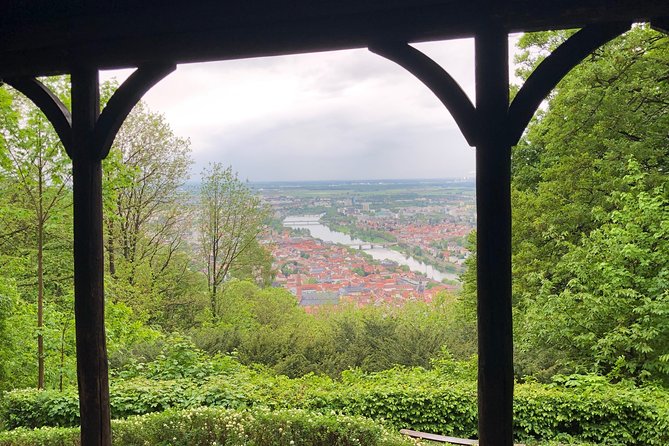 Forest Hike in Heidelberg - What to Bring for the Hike