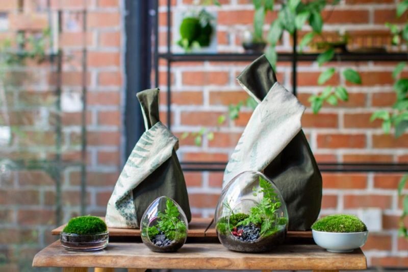 Forest in a Bottle Terrarium DIY Kit with Home Delivery in Malaysia - A small forest, built at your own table