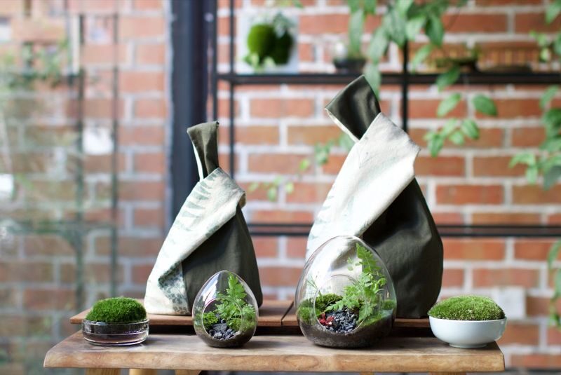 Forest in a Bottle Terrarium DIY Kit with Home Delivery in Malaysia - Who should order the forest kit?