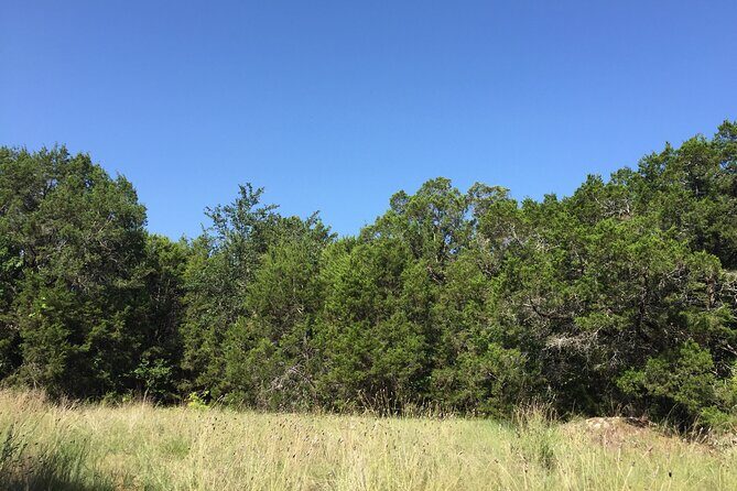 Forest Mindfulness and Embodiment Experience - An In-Depth Look at the Forest Mindfulness and Embodiment Experience