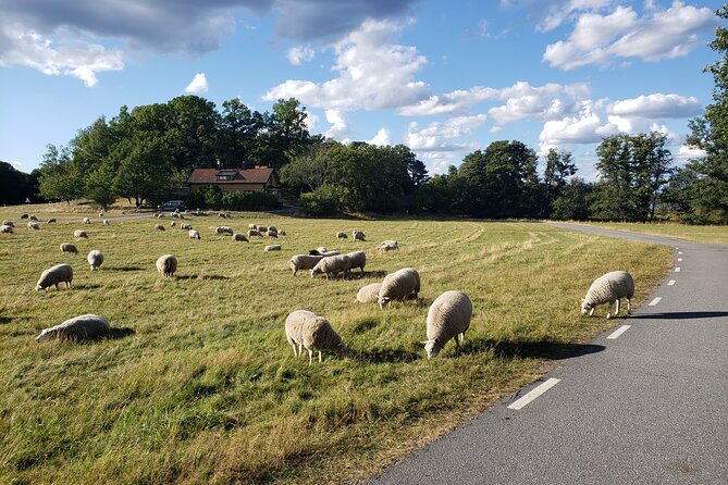 Forest Orienteering in Northern Royal Djurgården - Orienteering Map and Compass