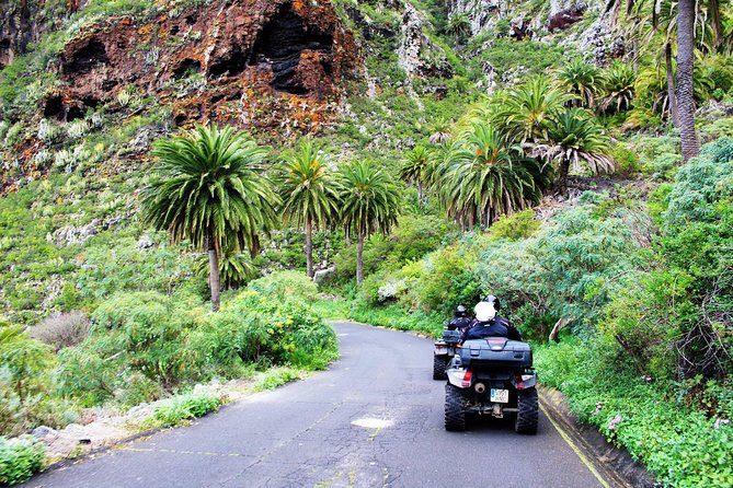 Forest Quad Trip With Hotel Pickup - Inclusions and Meeting Information