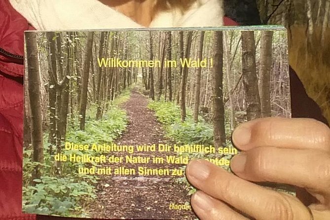 Forest Relaxation & Nature Experience - Important Information for Participants