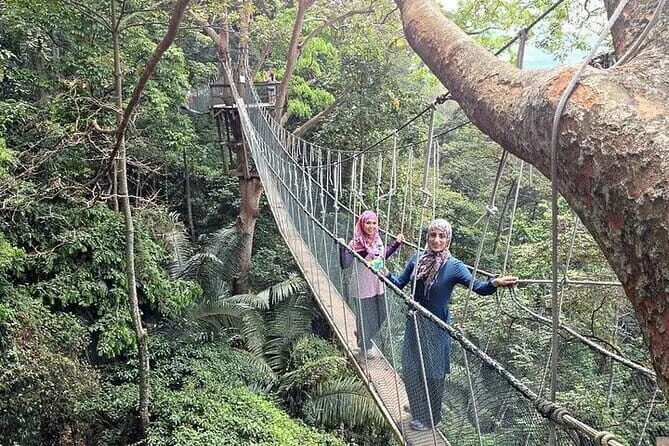 Forest Research Institute Malaysia (FRIM) Nature Trekking Tour - Introduction