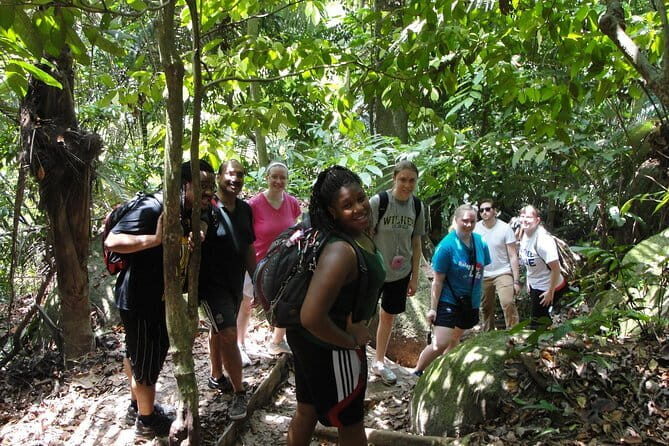 Forest Research Institute Malaysia (FRIM) Nature Trekking Tour - Deep Dive into the Experience