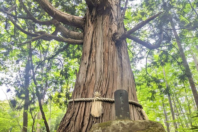 Forest Shrines of Togakushi, Nagano: Private Walking Tour - Lunch Recommendations