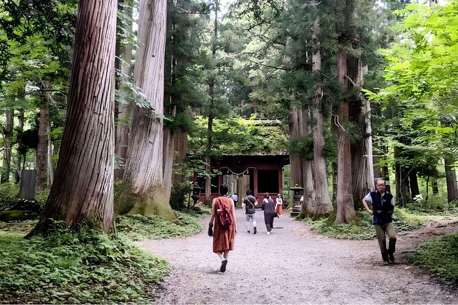 Forest Shrines of Togakushi, Nagano: Private Walking Tour - Forest Shrine 1: Exploring the Grounds