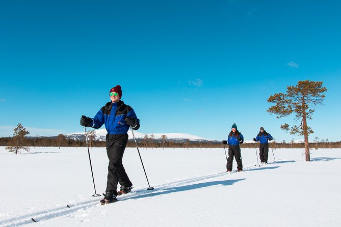 Forest Skiing in Nature - Best Forest Skiing Destinations