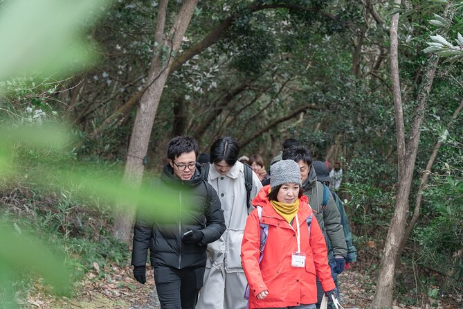 Forest Therapy in Sasaguri Town - Maximum Travelers and Requirements
