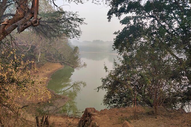 Forest Trail Hiking Adventure-Gurgaon by @Aravali.Hikes - Good To Know