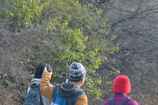 Forest Trail Hiking Adventure-Gurgaon by @Aravali.Hikes - Why You Should Consider This Trek