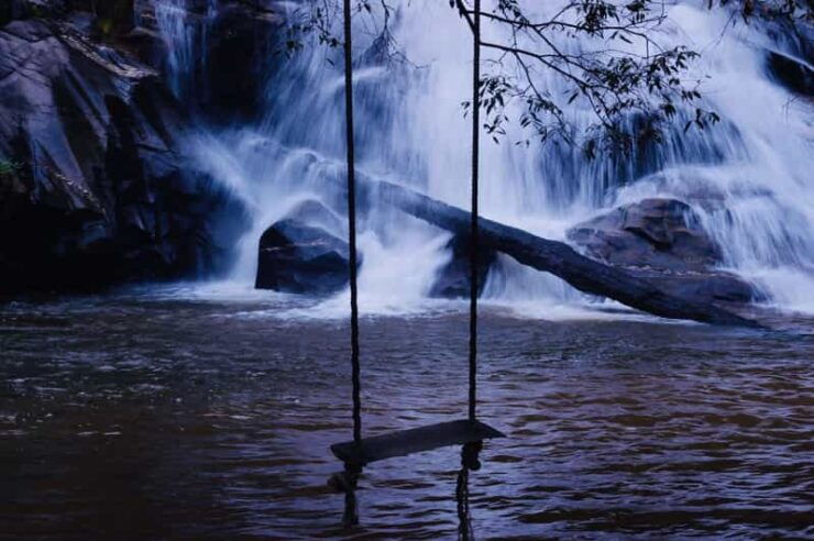 Forest Trekking 2 Days One Night- Only Walk - Detailed Itinerary