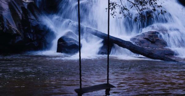 Forest Trekking 2 Days One Night- Only Walk - Booking and Pricing Information