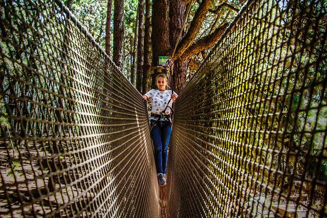 Forestal Park Tenerife Entrance Ticket - Meeting Point and Return Instructions