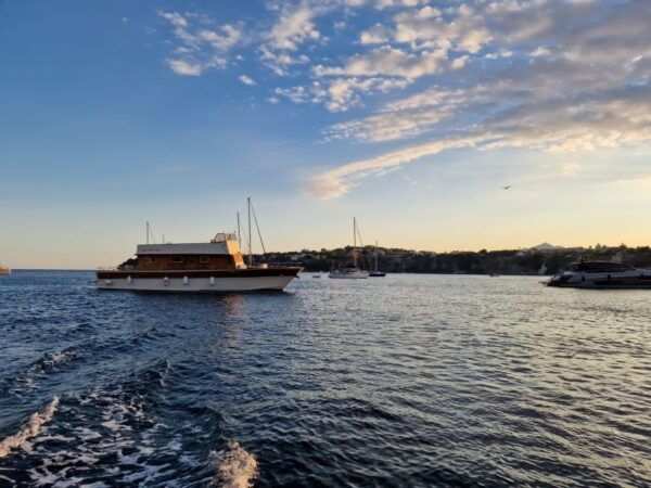 Forio: Ischia Island Boat Tour With Local Lunch and Swimming - Common Questions