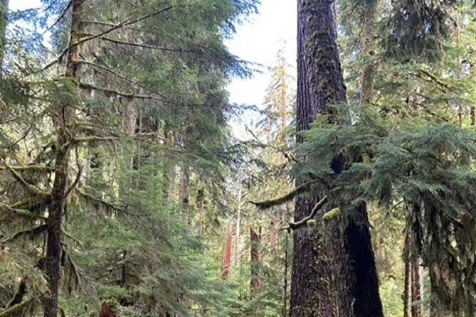 Forks Town, Twilight Movie, Olympic Small Group 1 Day Tour - FAQ