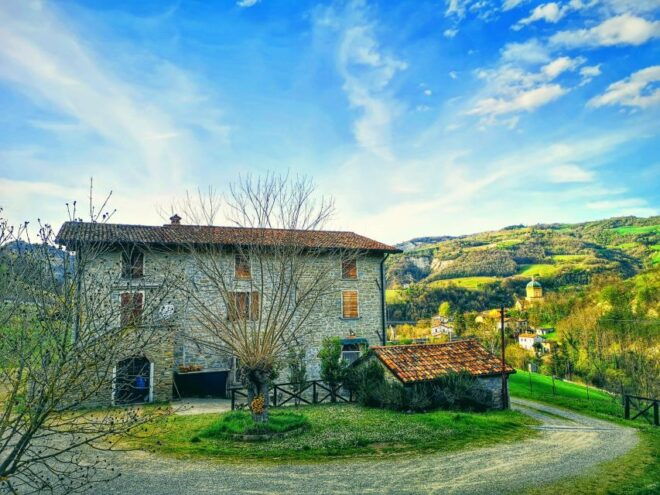 Forlì: Farm Cooking Class and Slow Food Market Tour - Inclusions