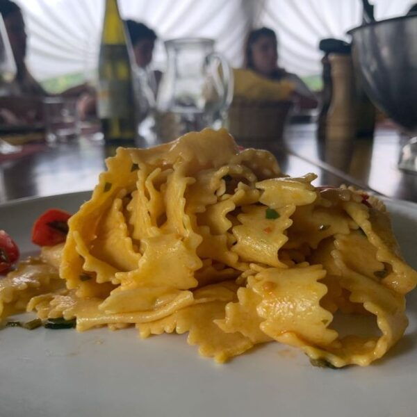 Forlì: Farm Cooking Class and Slow Food Market Tour - Frequently Asked Questions