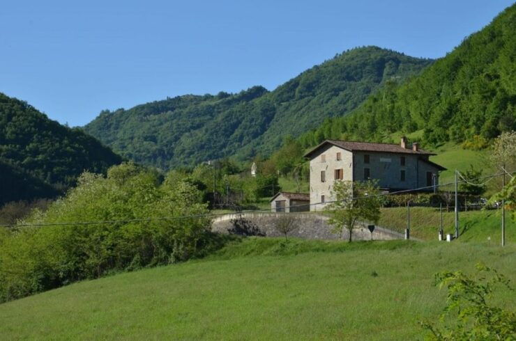 Forlì Hills: Foraging Tour, Looking for Wild Edible Herbs - Tour Overview