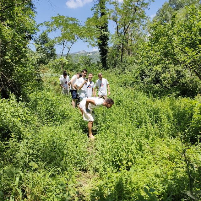 Forlì Hills: Foraging Tour, Looking for Wild Edible Herbs - Tour Experience