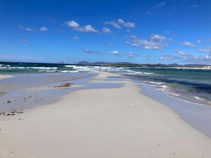 Formentera: 2-hour snorkel with marine biologist by boat - Good To Know  