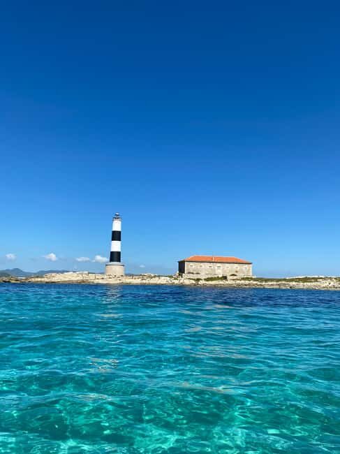 Formentera: 2-hour snorkel with marine biologist by boat - Practical Tips for a Great Experience  