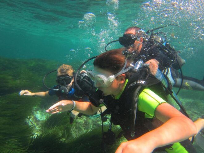 Formentera: Baptism of the Sea, Scuba Diving Experience - Underwater Exploration Highlights