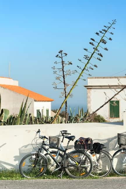 Formentera: discover our fast ferry + bike package - The Ferry: Speed and Comfort  