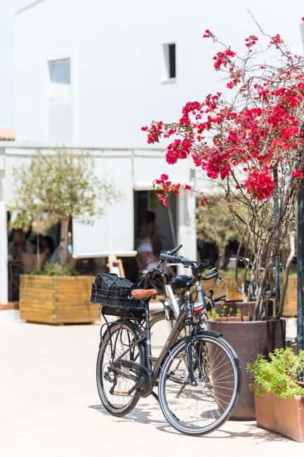Formentera: discover our fast ferry + bike package - Navigating and Exploring  