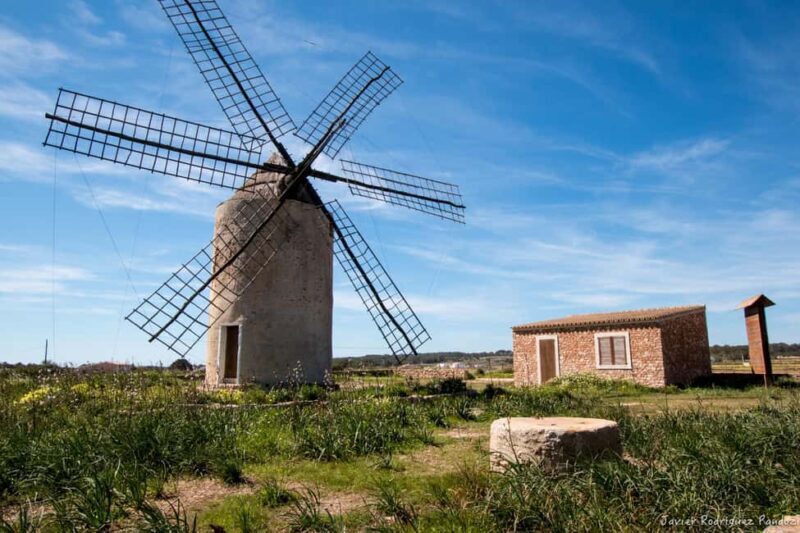 Formentera: discover our fast ferry + electric bike package. - FAQ