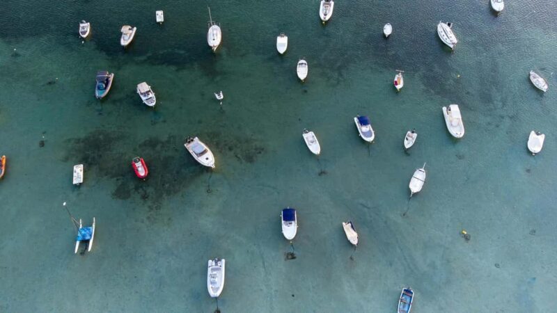 Formentera: Private Horseback Ride with Pick-up by the Beach - Good To Know  
