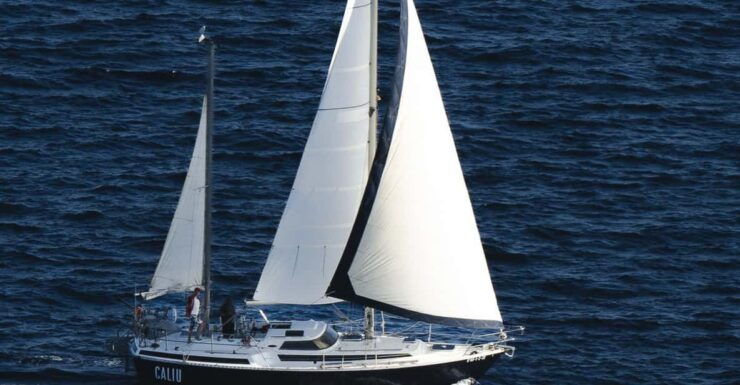 Formentera: Sailing Tour. Discover the Authentic Formentera - Variety of Onboard Activities