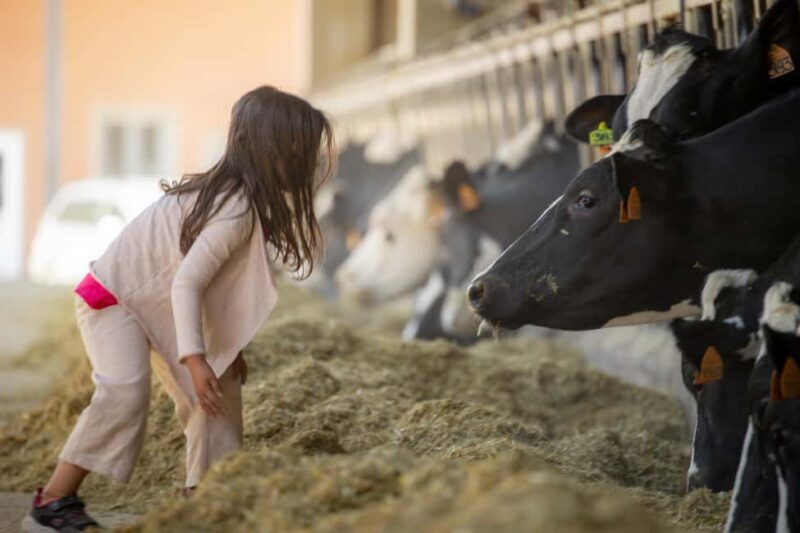 Formigine: Parmigiano tour with full tasting - Frequently Asked Questions (FAQs)