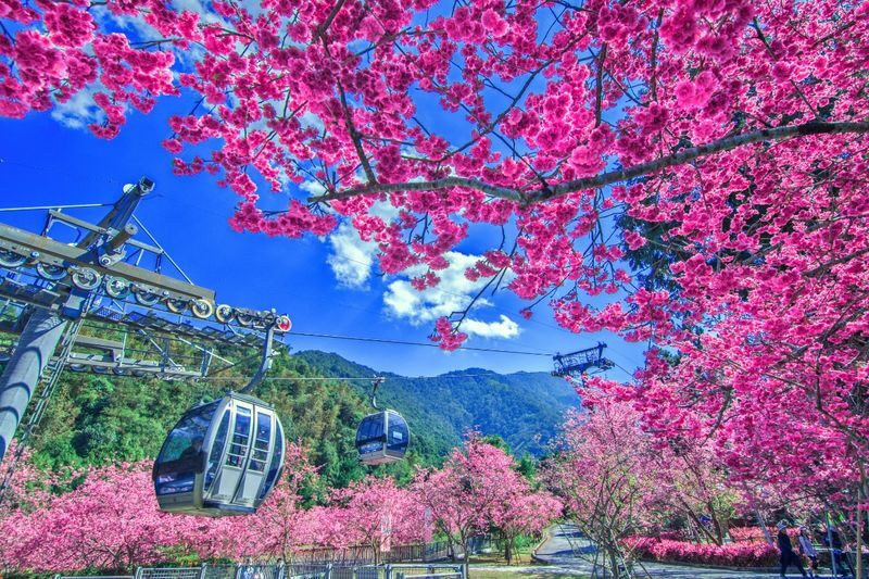 Formosan Aboriginal Culture Village Ticket & Sun Moon Lake Ropeway - A theme park with three different moods