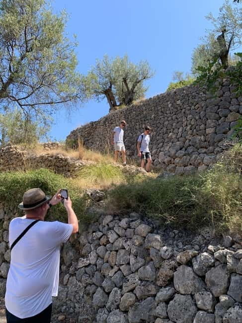 Fornalutx - hiking to the olive farm & oil tasting - Value and Overall Impression