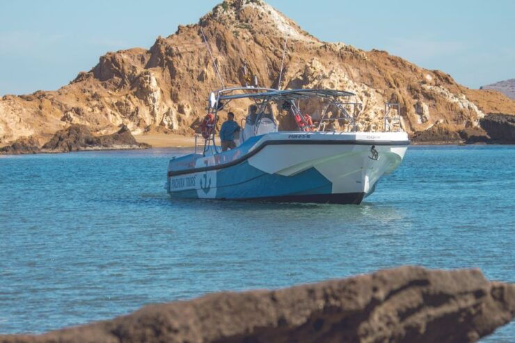 Fornells: 3-Hour Boat Tour Along Menorcan Coast - Tour Highlights and Activities
