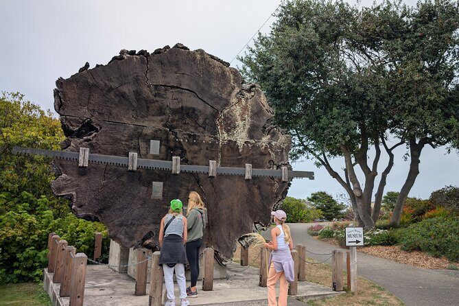 Fort Bragg California Scavenger Hunt Walking Activity and Game - Authentic Insights from Past Participants