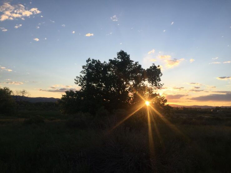 Fort Collins Early Settlement/Town Beginnings Tour - Tour Details