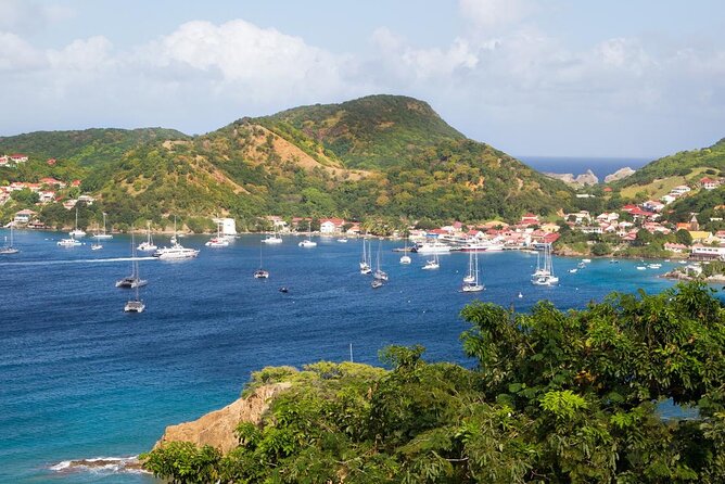 Fort-de-France Private 2-Hour Walking Tour - Inclusions