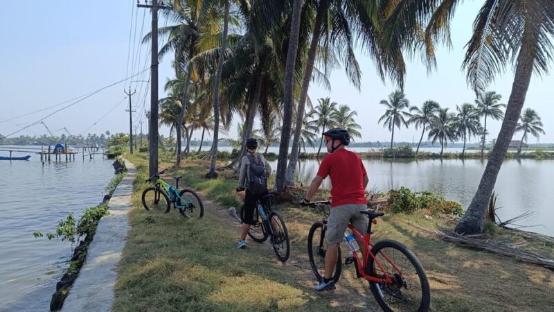 Fort Kochi Beach and Backwater Cycling Tour (Half Day) - The Experience: What Travelers Say