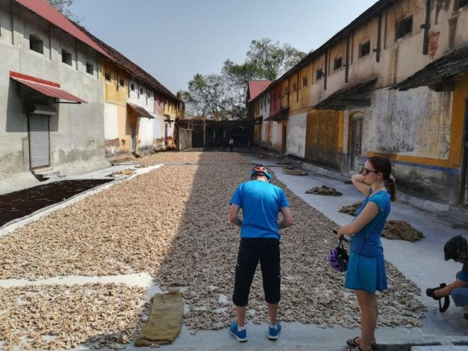 Fort Kochi Cycling Tour (Half Day) - Booking Information