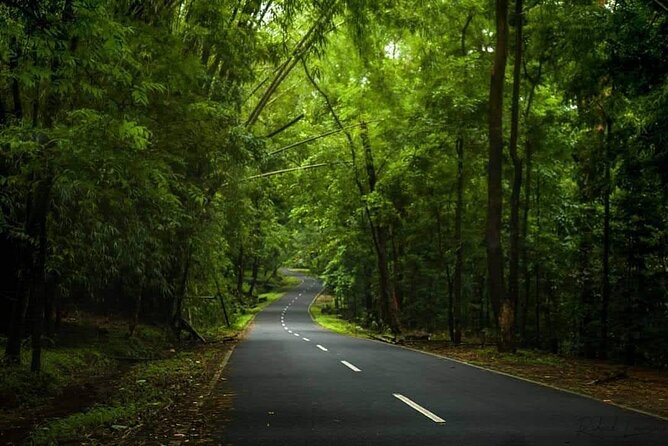 Fort Kochi Hotels to Cochin Airport Private Transfer - The Sum Up