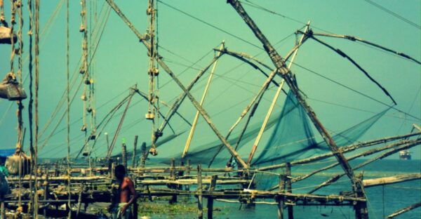 Fort Kochi & Mattanchery 3-Hour Walking Tour - The Sum Up