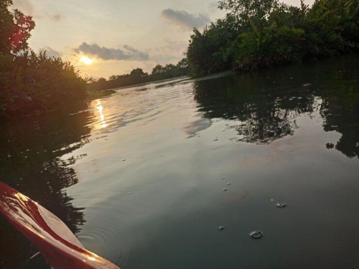 Fort Kochi Sightseeing on Tuk Tuk and Backwater Kayaking - Activity Details